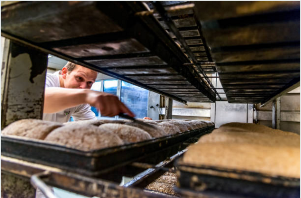 yeast là gì